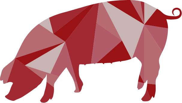 Cerdo Duroc - Granjas Duroc - Chico Duroc