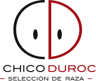 Chico Duroc - Cerdo Duroc